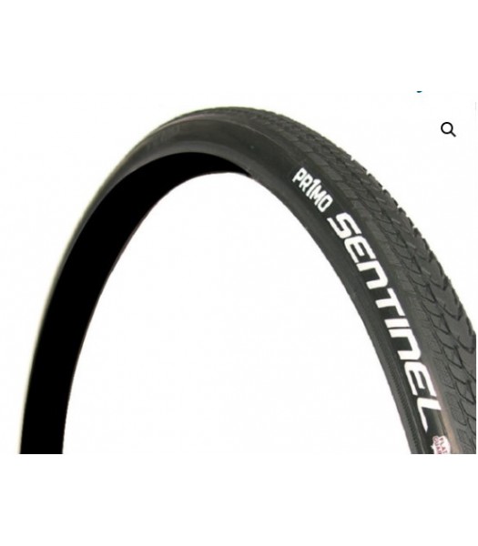 Primo Sentinal 24 x 1 Inch (25-540)
